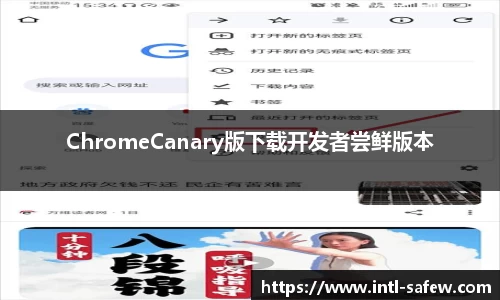 ChromeCanary版下载开发者尝鲜版本